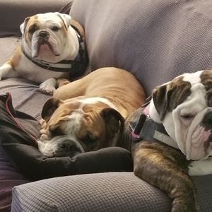 Meet your Posher, Donna